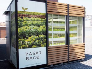 安定量産！ 手軽に始められる植物工場4選