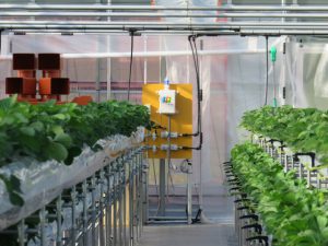 植物の「深呼吸」を促進する、環境にやさしいCO2施用