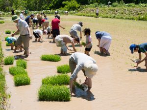 これからの新しい農業の形「CSA」ってなに？