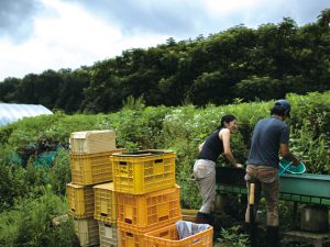 移住して有機農家レストラン…ある夫婦の夢の叶え方