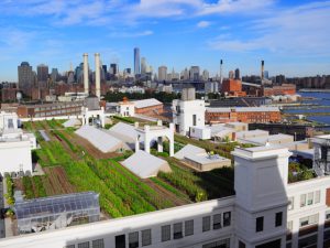 米国農家の約3分の1は、なんと大都市圏で経営！