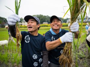 市町村に広がる農福連携で 耕作放棄地再生へ！