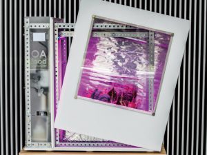 生育環境を“コピペ”するだけ!?　驚きの農業技術！