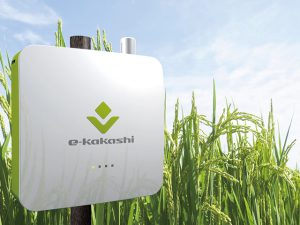 農業IoTで栽培技術や知見を効率良く共有する