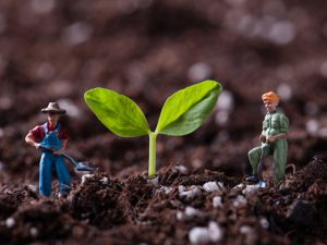 「なぜ、就農5年後がキモと言われるのか？」