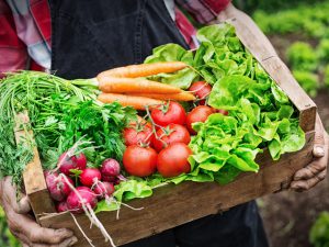 農産物の国際基準・グローバルGAP認証取得とは？