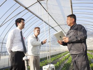 ICTで生産ノウハウを共有！茨城の地域農業の成功例