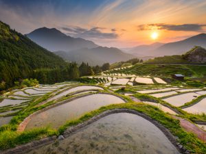 中山間地農業を元気に！ルネッサンス事業が新設