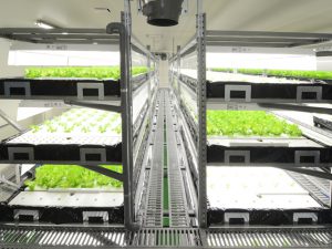 人工光で野菜を育てる 注目植物工場8選