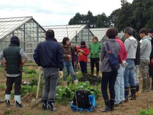野菜育ては、人育て。“農”の力を活かして人をつなぐ