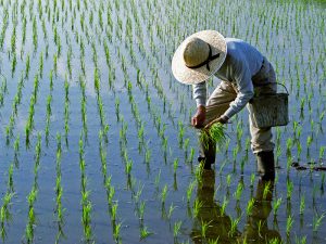 就農したい若者必見！農業のことは生産1位の県に聞け