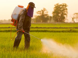 新会社設立によって、日本の農薬は安くなるか？