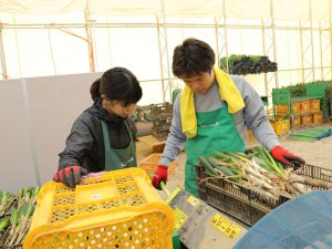 成功する農業！注目が高まる『農福連携』のポイント