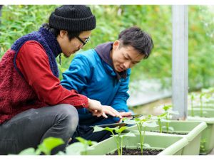 若者新規就農者が3年連続で2万人超　後継者不足は？