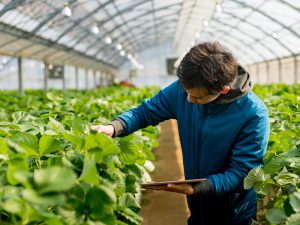 コスト削減！儲かりたい農家が知るべき”支援法”