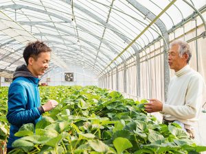 農家後継者が成功するために必要な5つの要素とは？