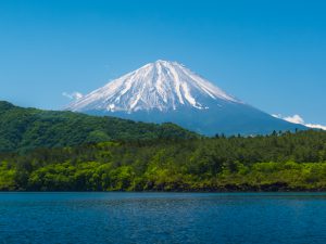 日本が世界に誇る伝統の農業！　世界農業遺産とは？