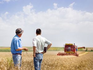 平成28年の個別農業経営の所得が前年より2割増に！