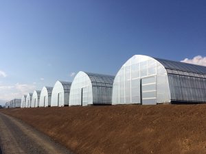 異業種の技術で開発した、低コストで丈夫なハウス