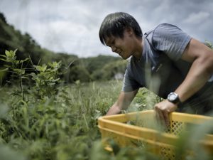 ＜若手農家の挑戦＞東京の農業ならではのメリットは？