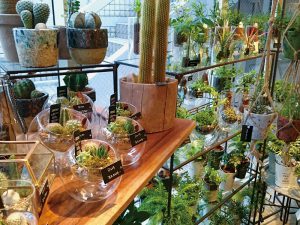 人気のボタニカル専門店のハイセンスな園芸道具3選