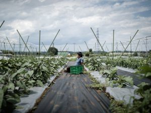 ＜若手農家の挑戦＞新規就農に欠かせない人脈作り