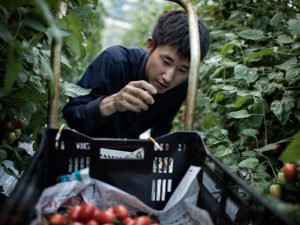 ＜若手農家の挑戦＞地域の魅力を価値に変える！