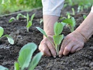 農業の「働き方改革」について農水省に訊いてみた！