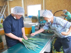 【事例紹介】農福連携～企業・福祉施設・行政の取り組み