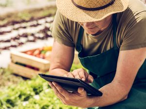 JGAP認証を取得したい人必見！取得をしやすくなるイチオシサービスって？
