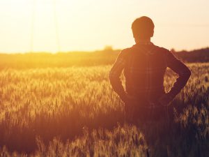 日本農業は本当に「成長産業」といえるのか？