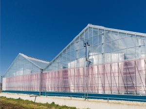 従来比2〜3割コスト減？低価格＆高耐候性のハウスに注目！