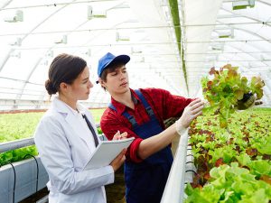農業の「働き方改革」に活かせる支援事業がすごい！