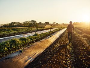 JAと生産部会の線引~独占禁止法に抵触する可能性は?