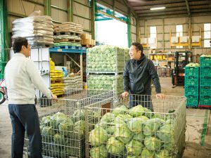 野菜の出荷、”レンタルパレット”の時代がきてる!?