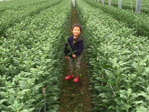 成功する農業後継「父から子へ、高い生産性を実現」