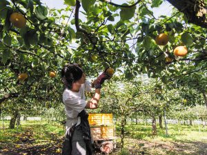 業務改善ノウハウを公開中！マネしたい経営の合理化