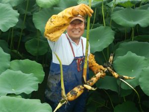 成功する農業承継「地道な広報活動で世界進出へ」