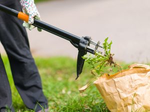 知っておきたい！雑草防除ギアの基礎知識【刈払機・草刈機編】