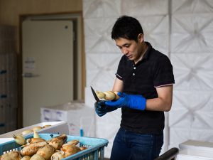 成功する農業承継「農作物のブランド化を目指す」