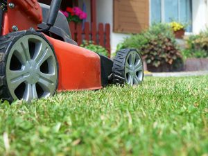 夏の雑草対策に！最新雑草防除ギア７選【刈払機・草刈機編】