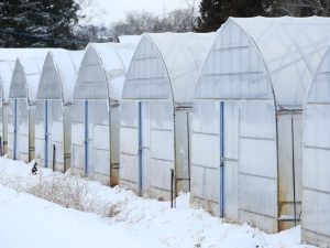 ハウスを積雪から守る支柱ユニットに、強度を上げた新タイプ追加