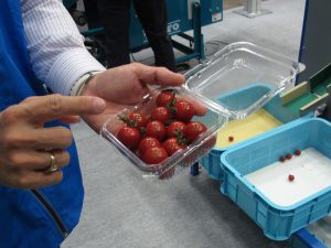 1g差も見逃さないミニトマト用の精密重量選別機