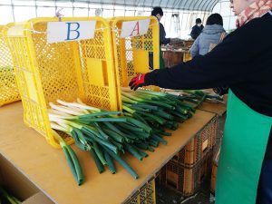 【農福連携】作業場整理術のポイントは「どこで・何が・どうやって」