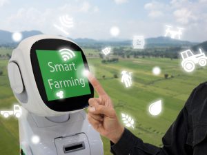 最新技術でコストダウンに挑む「キャベツ自動収穫機」