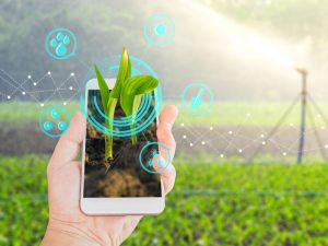 農業生産をITで支援「みどりクラウド」が他社制御盤との連携も開発中