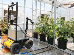 キイチゴ類の受粉を自動化！ 「受粉ロボット」がアメリカで開発中