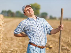 世界一安い！ 腰痛のリスクを軽減するアシストスーツが2万円台！