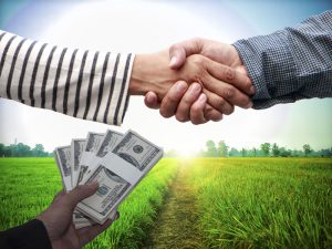 米の生産者と買い手が「直接取引できるWEBサイト」10月下旬オープン
