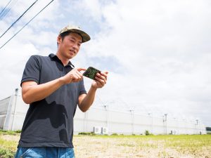 トマトのブランド化に成功した農家直伝！ “ハウス内環境”を整える秘訣